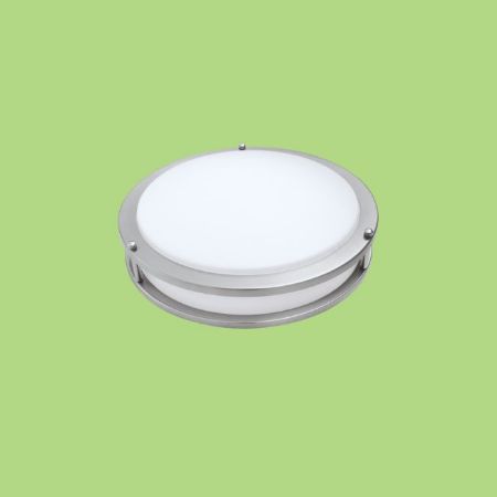 Picture for category Double Ring Flush Mount